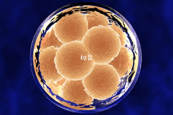 胚胎质量好不容易出现意外情况
