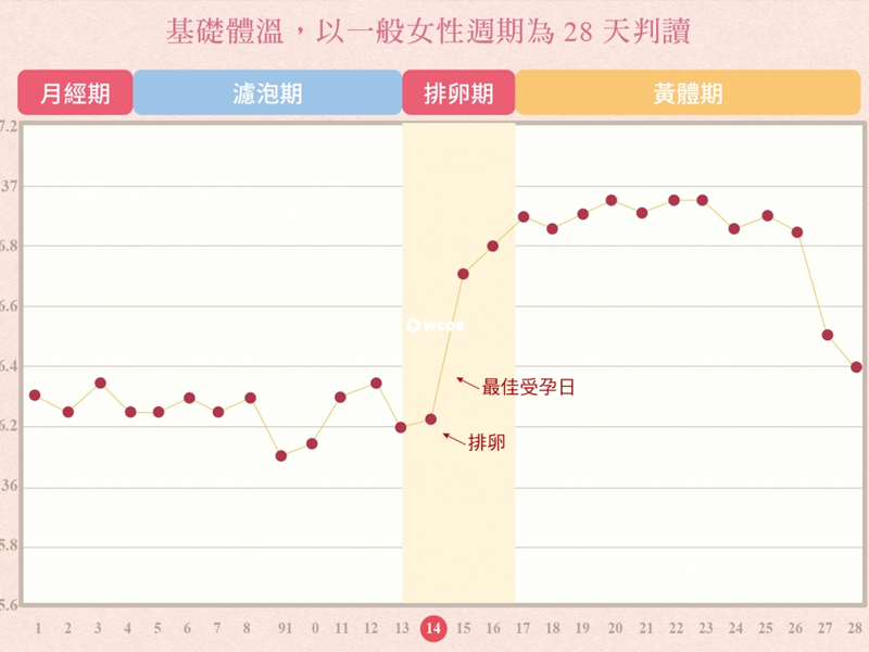错过排卵期会降低受孕的几率