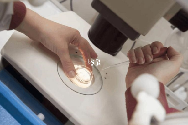 双胎和单胎移植价格一样