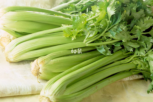 痤疮患者可以多吃芹菜