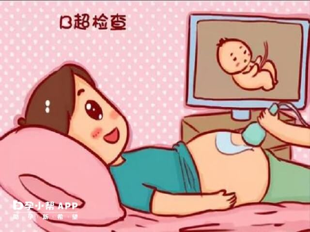 孕期一般会做七八次B超