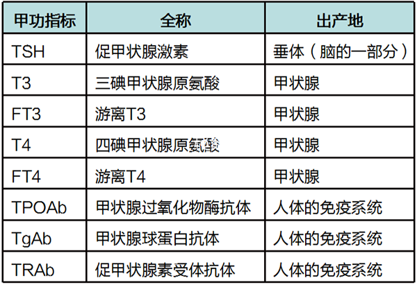 甲状腺检查报告单
