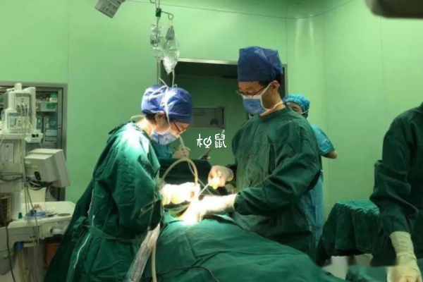 试管内膜活检能够确定排卵
