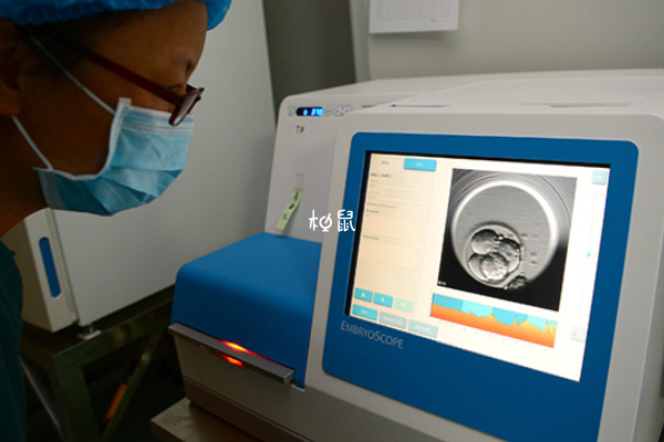 试管胚胎培养过程介绍