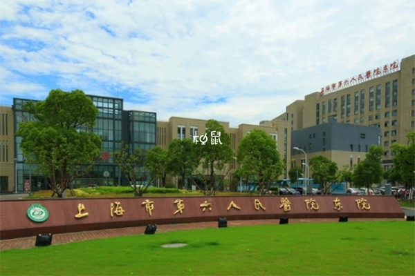 上海六院试管技术不错