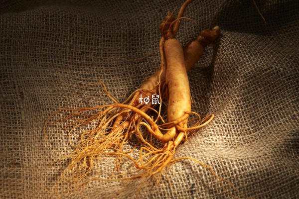 人参对y精子好